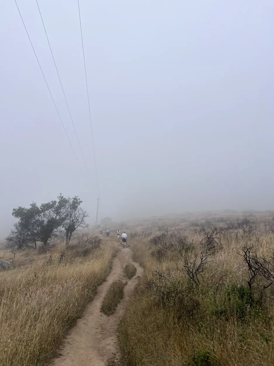 Runners on the Dipsea trail disappearing into fog