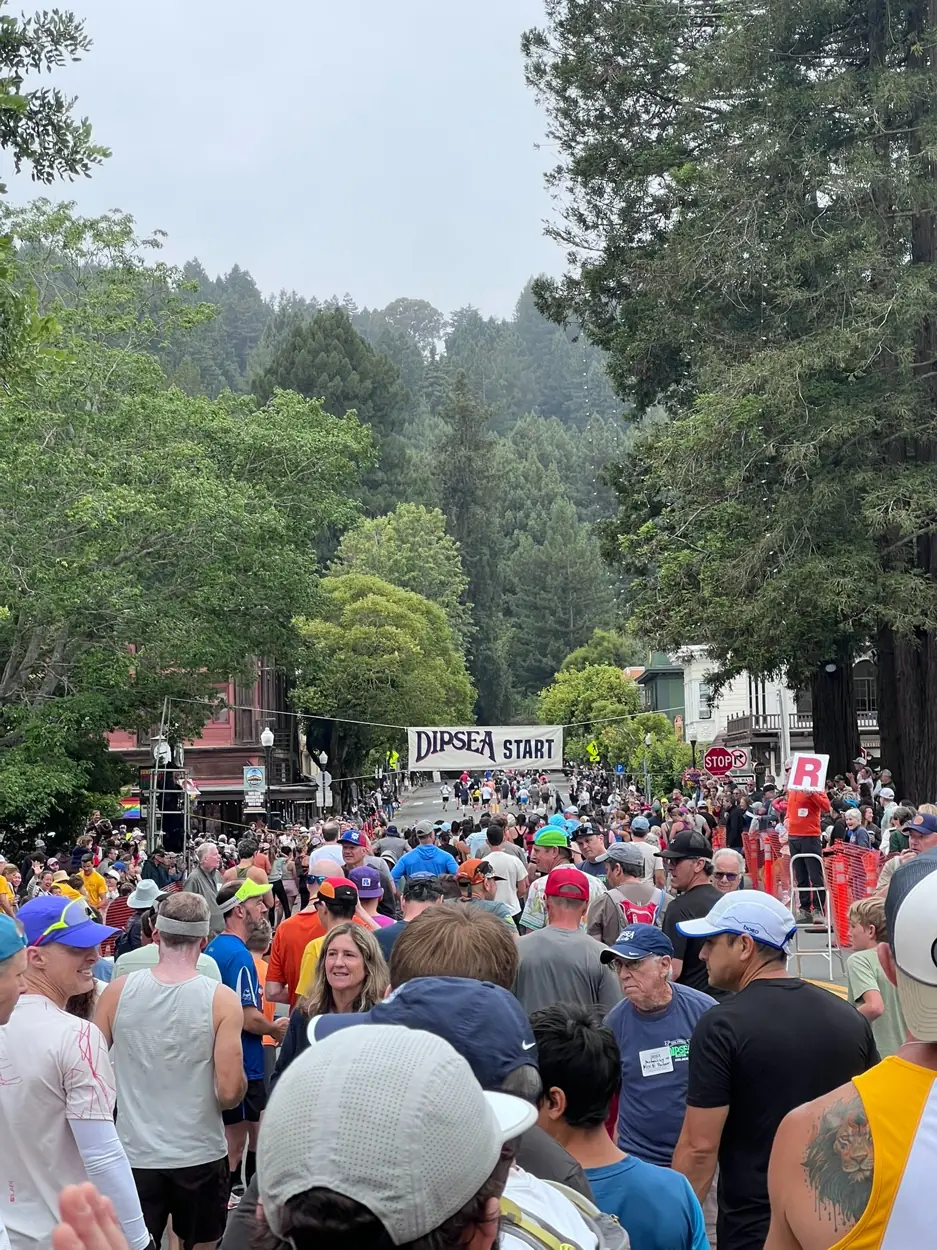 Runners gathered beneath the Dipsea start banner in Mill Valley, surrounded by tall trees